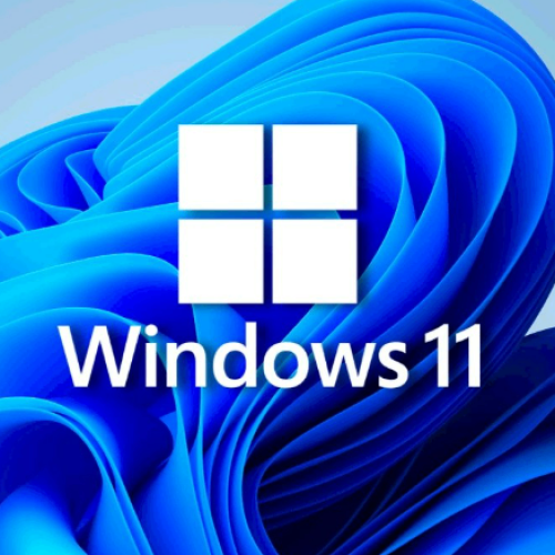 Windows11家庭版/专业版/企业版/工作站版